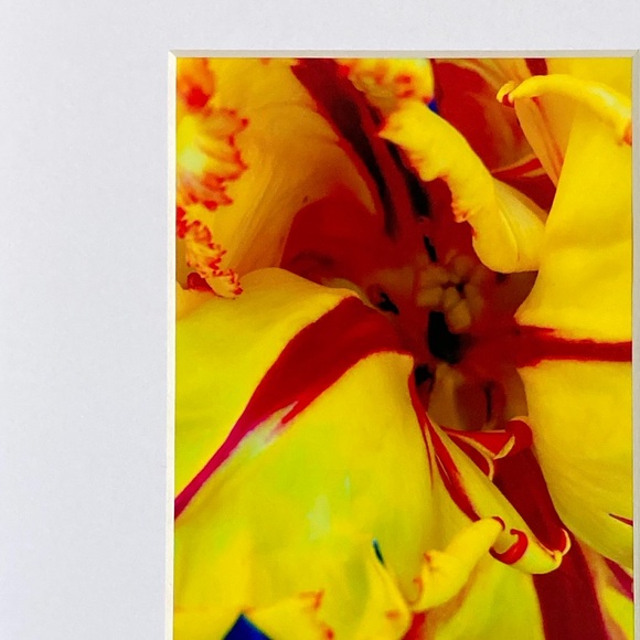 “JAUNE” ~ ORIGINAL ART by ~ @lisamichellebeckerphotography - Picture 3 of 12